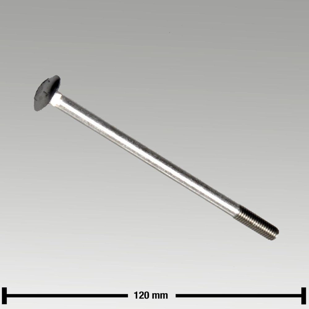 0019-5565-300 Винт с полукруглой низкой головкой M6x110 w/o nut SSt